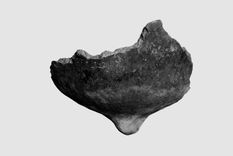 hallan evidencia del uso de especias hace 7.000 anos