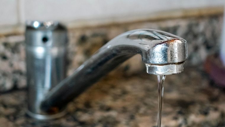 La bacteria suele transmitirse a través del agua o alimentos contaminados. Foto: Santiago Tagua/MDZ