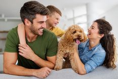 Mascotas Cuidados para perros de raza pequeña Foto: Shutterstock