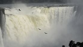 Nuevo récord: el Parque Nacional Iguazú alcanzó el millón y medio de visitantes anuales-