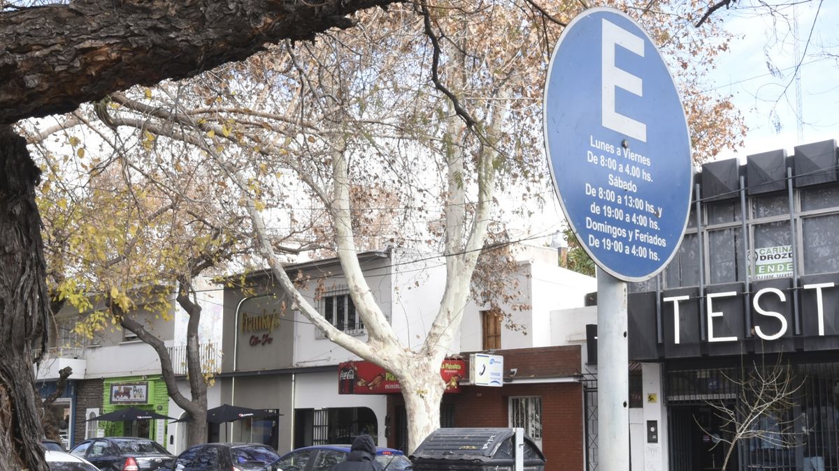 Estacionamiento gratuito en Ciudad: quiénes pueden tramitar la oblea para acceder al beneficio