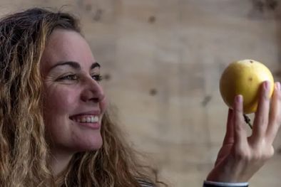 MDZol | A lo mejor nunca hubieras pensado que también puedes encontrar proteína en las frutas. Foto: GETTY IMAGES