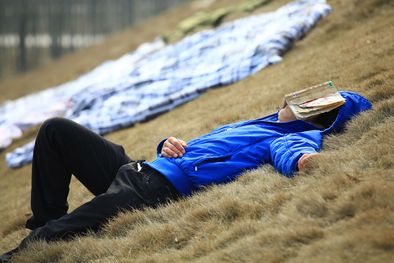 MDZol | Foto: publicada en Terra