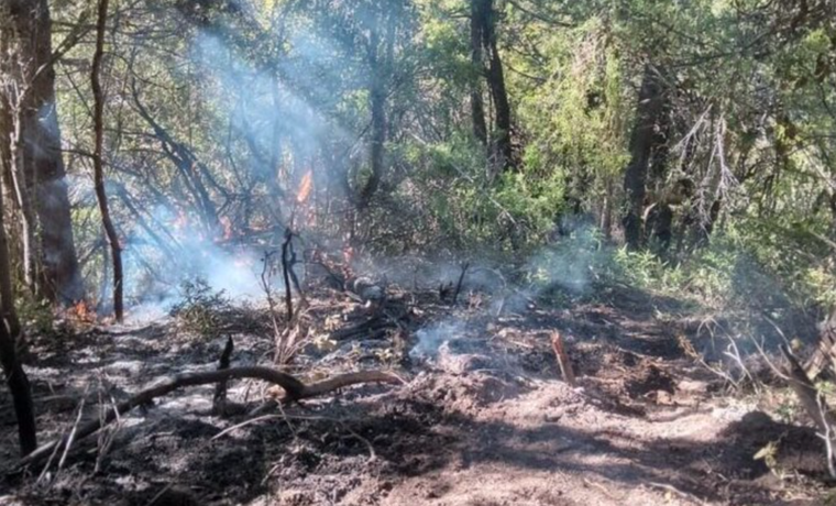 Si bien se habían reportado siete focos de incendio, ahora habría uno más.