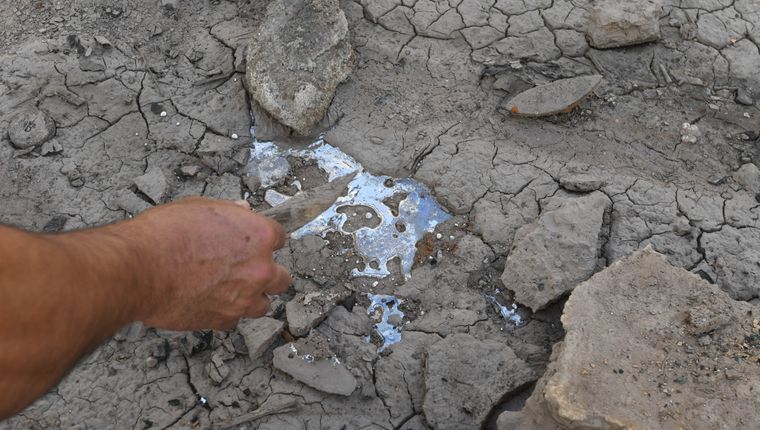 Foto: Marcos Garcia/MDZ