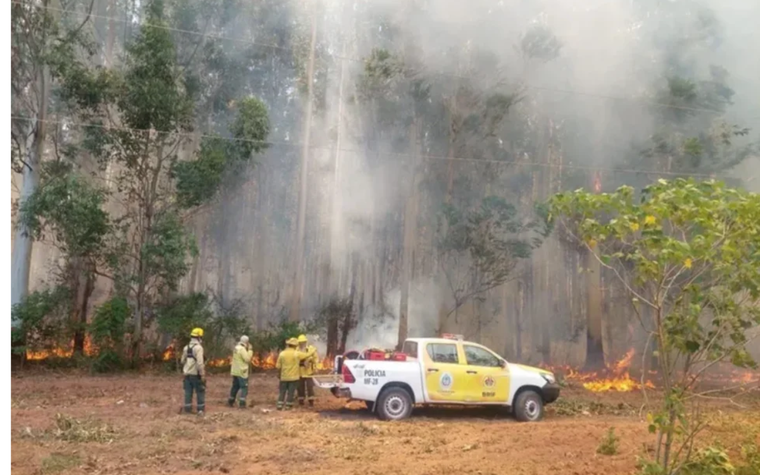 Incendios en Corrientes.