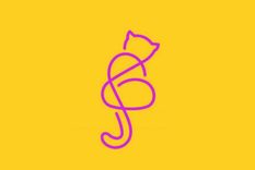 Test de personalidad