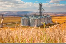 El impulso de los precios de productos primarios fue determinante en el avance de los precios mayoristas en el segundo mes del año. Foto: Creative Commons