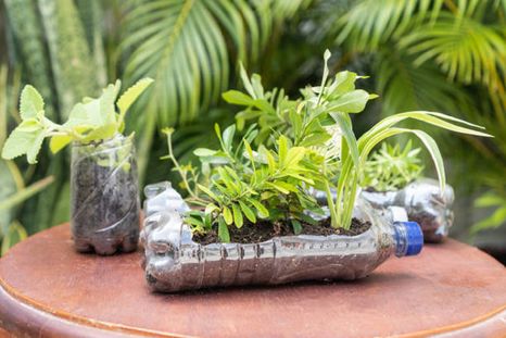 ¡no las tires! recicla botellas de plastico y crea macetas originales en casa ¡no las tires! recicla botellas de plastico y crea macetas originales en casa