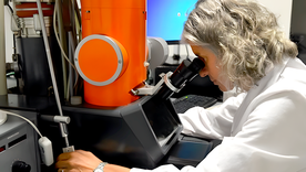 La científica mendocina investiga virus que afectan la producción animal La científica mendocina investiga virus que afectan la producción animal