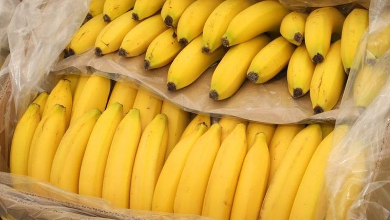 Banana, un delicioso alimento para combatir la resaca Banana, un delicioso alimento para combatir la resaca