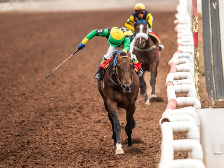Bellaco Song es otro de los caballos indicados del Clásico Santo Patrono Santiago de mañana en Mendoza. Foto: Gentileza José Maluf