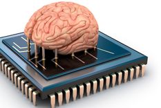 buscan usar celulas madre del cerebro para crear microchips mas avanzados