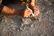 El descubrimiento reavivó el interés por los vestigios prehistóricos que aún permanecen ocultos en las montañas de Mallorca.
