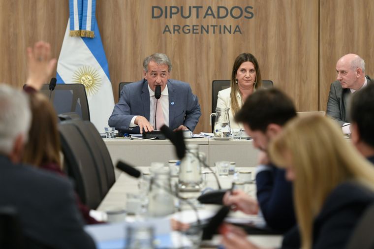 La actual ley de DNU fue sancionada por el kirchnerismo en 2006 y hoy Unión por la Patria la quiere modificar.