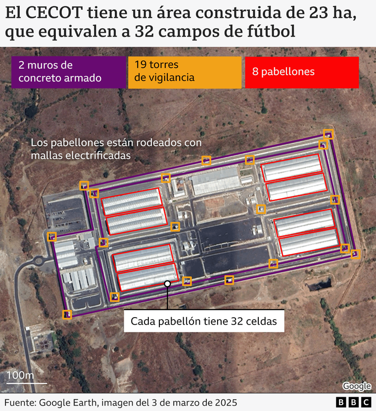 https://www.bbc.com/mundo/articles/cwy19wx0g8qo