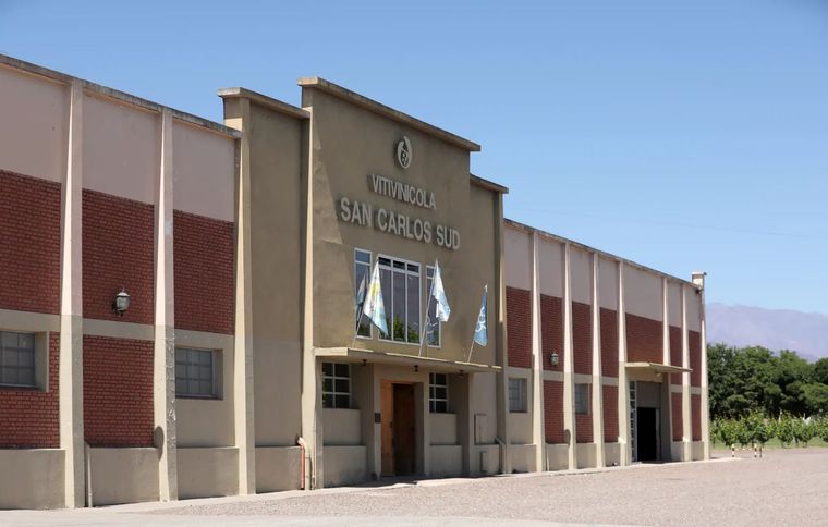 Cooperativa San Carlos denunció irregularidades en una operatorio con Bodegas Norton que le ha dejado una deuda millonaria.&nbsp;