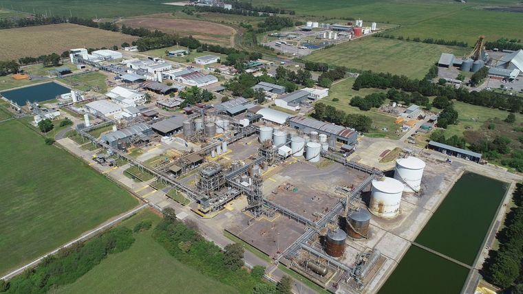 Planta de Dow Foto: Dow