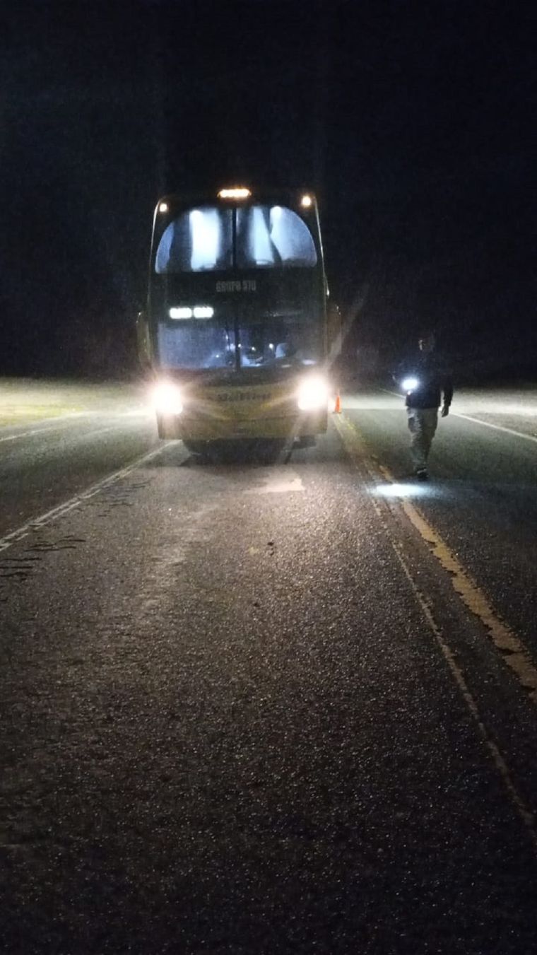 El colectivo en el que viajaba la mujer. Foto: Ministerio de Seguridad