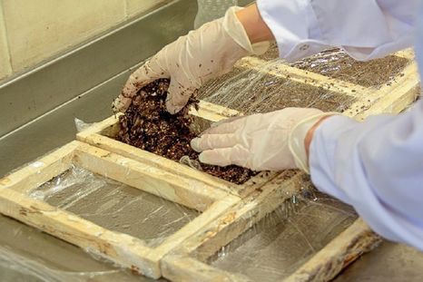 Un equipo del Conicet desarrolla aislantes térmicos y acústicos con restos de poda de vid y hongos para reemplazar materiales contaminantes. Un equipo del Conicet desarrolla aislantes térmicos y acústicos con restos de poda de vid y hongos para reemplazar materiales contaminantes.