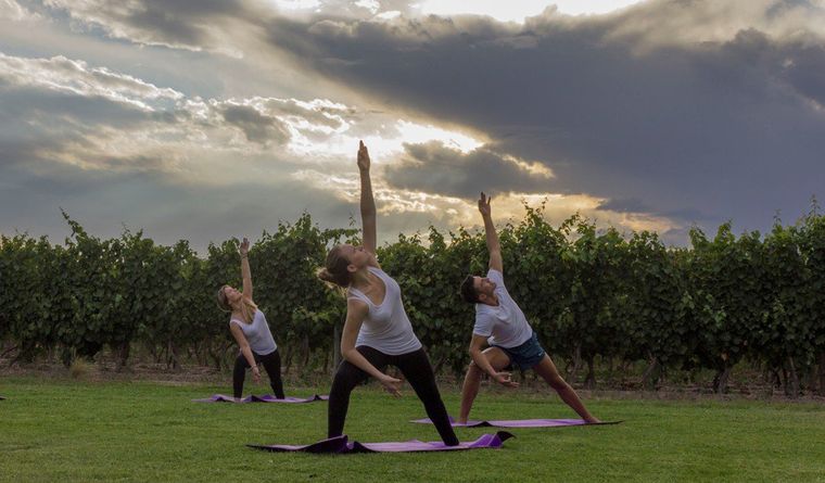 Yoga entre viñedos es una de las experiencias que se le puede regalar a mamá en su día.