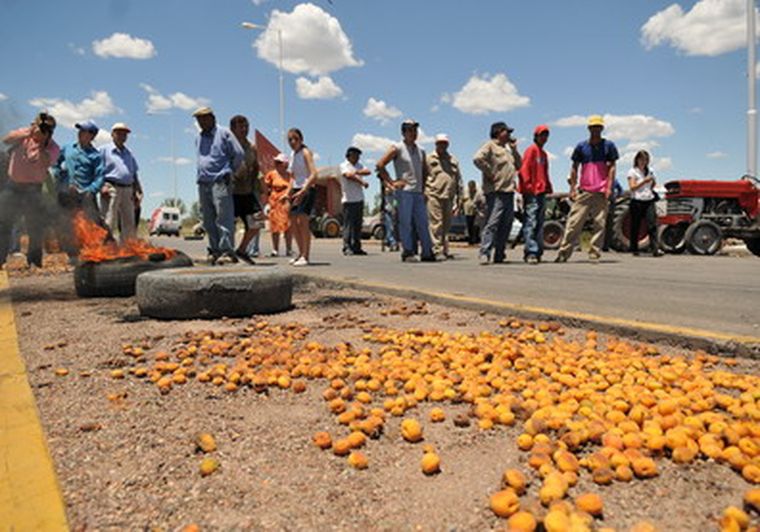 Este año el damasco se tiró sobre la ruta 7 por falta de buenos precios y poco apoyo del Estado. Foto: Nacho Gaffuri / MDZ