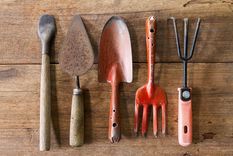 El vinagre es útil para limpiar las herramientas oxidadas del jardín. Foto: Gardening - https://gardening.org/wp-content/uploads/2021/02/Rusty-Garden-Tools.jpg