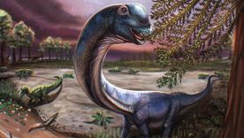 El nagatitán vivió entre hace 100 millones y 120 millones de años. El nagatitán vivió entre hace 100 millones y 120 millones de años.