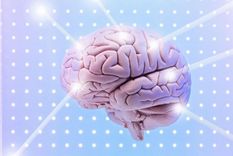 El fenómeno tiene sus raíces en nuestra evolución como especie (Foto: BBC News / Getty Images) Foto: BBC News / Getty Images