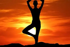 El yoga se presenta como una forma de movimiento consciente que integra todos los aspectos del bienestar.