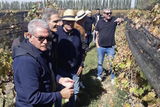 Burruchaga, Roggeri y otros campeones del 86 con Richard Bonvin, recorriendo Finca La Anita. Foto: Instagram Juan Pablo Candisano