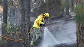 Los incendios en la Patagonia ya arrasaron con más de 4.000 hectáreas.