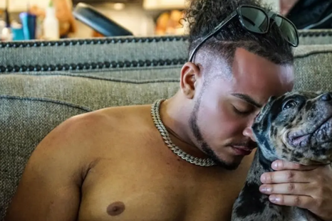 El influencer había culpado a su perro por la muerte de su pareja, que llevó a que sea sacrificado. El influencer había culpado a su perro por la muerte de su pareja, que llevó a que sea sacrificado.