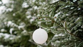 La nueva tendencia para Navidad. La nueva tendencia para Navidad.