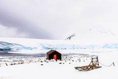 Los seleccionados vivirán 4 meses en Port Lockroy, la Antártida Foto: Shutterstock
