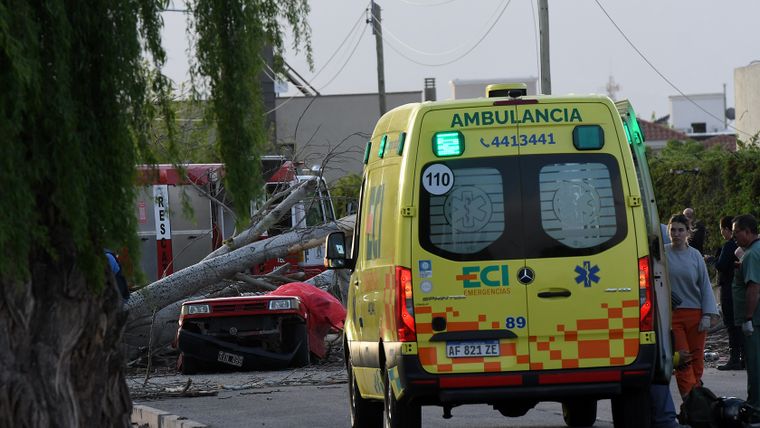 Mujer murió aplastada por un árbol que cayó sobre su auto en Maipú (4)