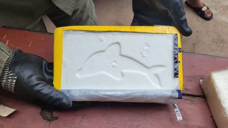 La cocaína viajaba oculta en cajas de fruta.&nbsp;