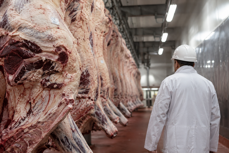 La carne argentina atraviesa un momento de oportunidades en los mercados internacionales. La carne argentina atraviesa un momento de oportunidades en los mercados internacionales.