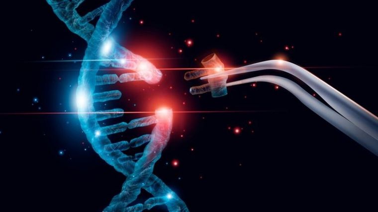 Este estudio con Inteligencia Artificial no busca encasillar a nadie. Todo lo contrario: invita a mirar con más atención esos detalles cotidianos que forman parte de quiénes somos. Este estudio con Inteligencia Artificial no busca encasillar a nadie. Todo lo contrario: invita a mirar con más atención esos detalles cotidianos que forman parte de quiénes somos.