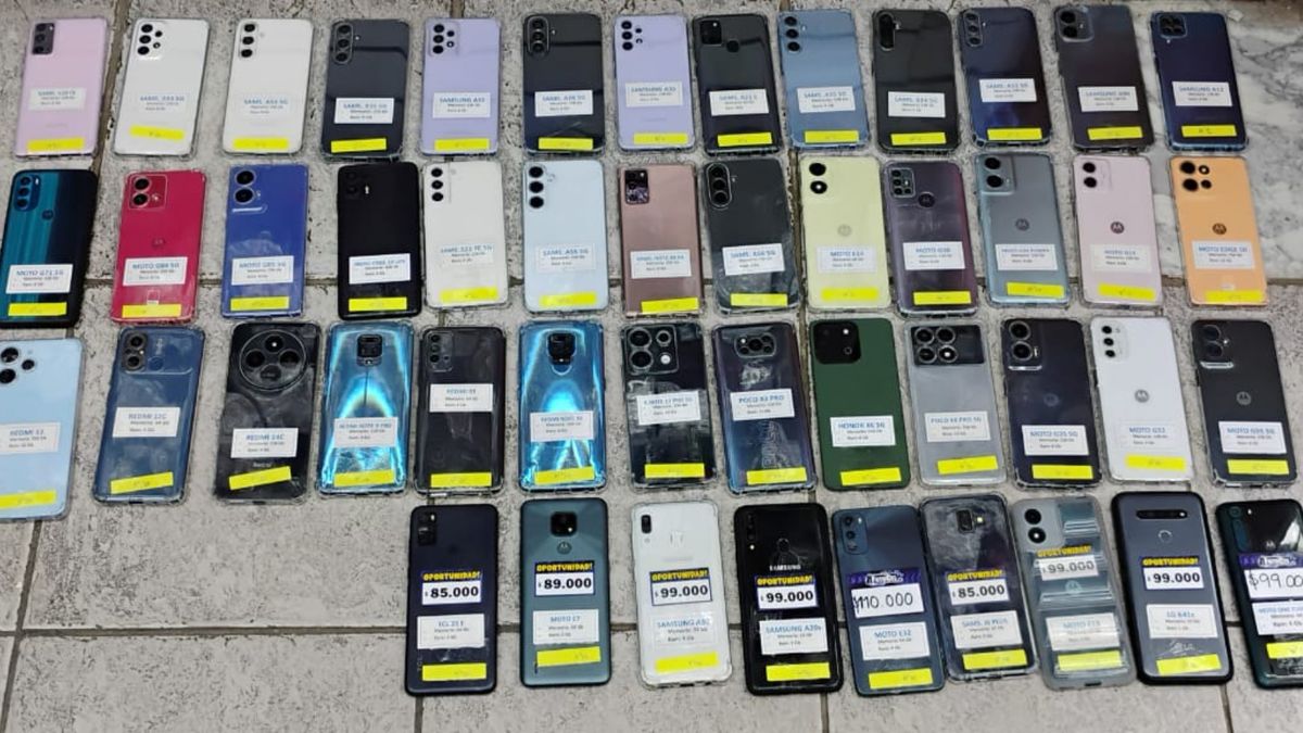 Golpe al mercado negro: secuestraron 48 celulares de dudosa procedencia en un local de Maipú