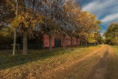 Foto: turismo baradero