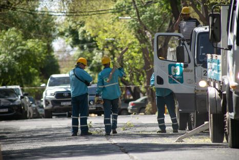 Mantenimiento urbano en Ciudad. Mantenimiento urbano en Ciudad.