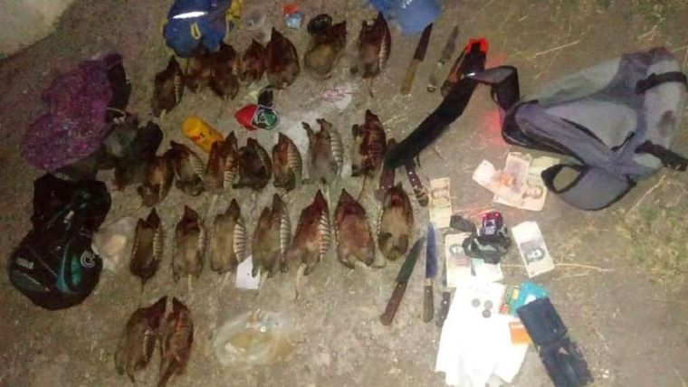 quirquinchos Los quirquinchos muertos, en el que probablemente sea su primer y último retrato. Foto: Prensa Ministerio de Seguridad.