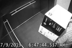 un hombre se llevo us$ 1.300.000 en toner de su trabajo: ¿como lo hizo?