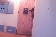 el gato que toca timbre revoluciona las redes sociales