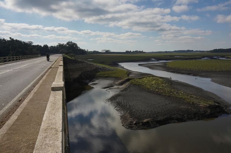 La sequía preocupa en Uruguay. Foto: NA/REUTERS/Mariana Greif