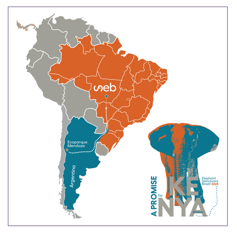 Quinto día de viaje de la elefanta Kenya. Quinto día de viaje de la elefanta Kenya.