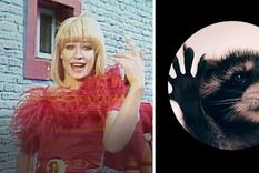 Cuál es el verdadero origen de la canción viral del mapache Foto: Captura del video de TikTok