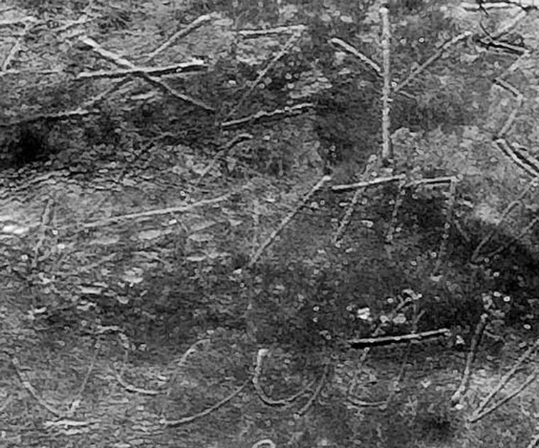 Foto: livescience.com