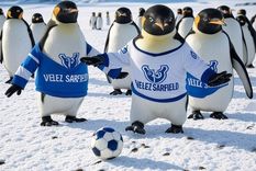 El elenco de Liniers no puede coronar, hasta el momento, su gran semestre. El elenco de Liniers no puede coronar, hasta el momento, su gran semestre.